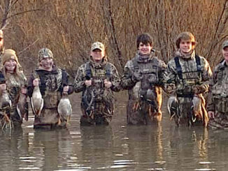 waterfowl