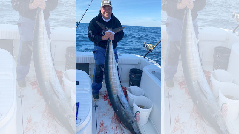 wahoo