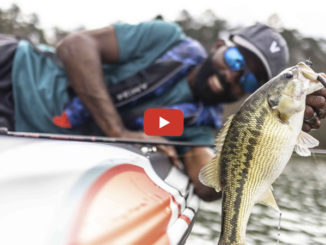 bass
