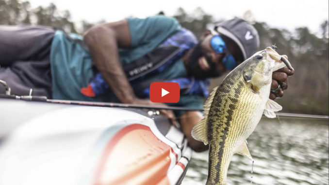 bass