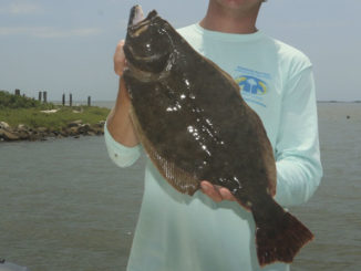flounder