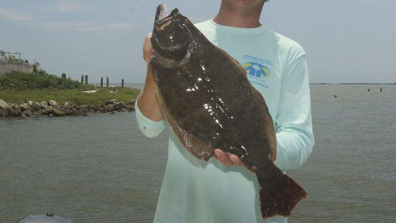 flounder