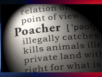 poachers