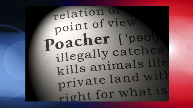 poachers