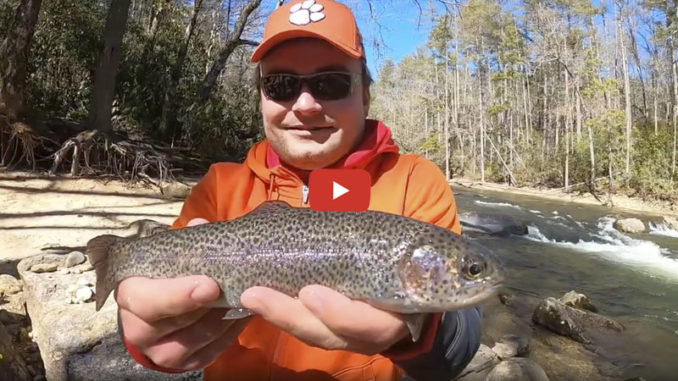 Chattooga