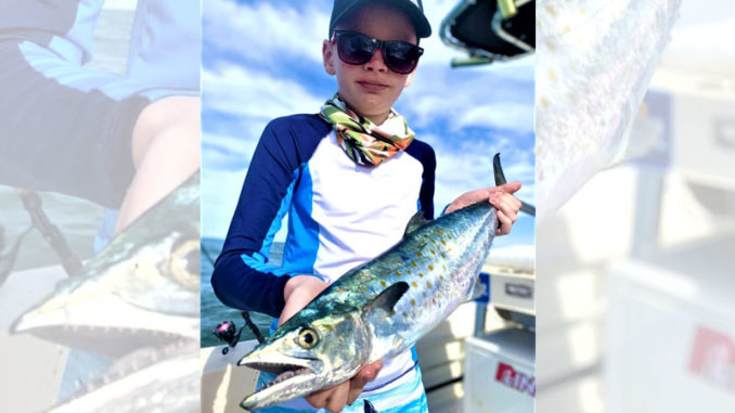 Spanish mackerel