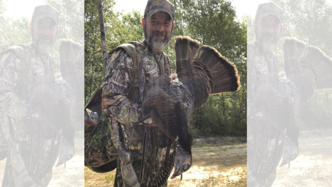 bearded hen