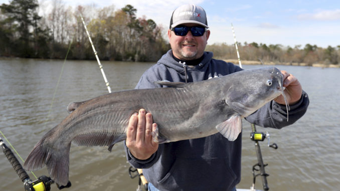 Drifting 101: how to catch catfish while drifting - Carolina Sportsman