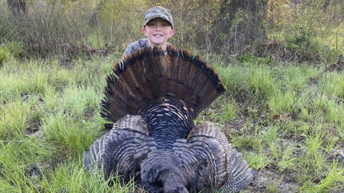 20-pound gobbler