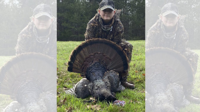 gobbler