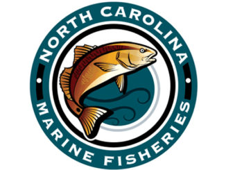 fish carcasses