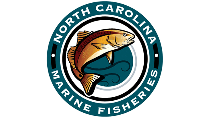 fish carcasses