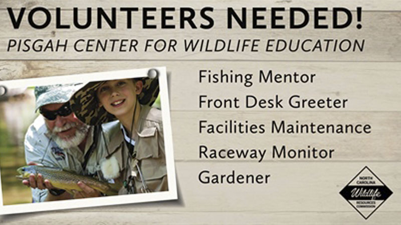 Pisgah Center for Wildlife Education