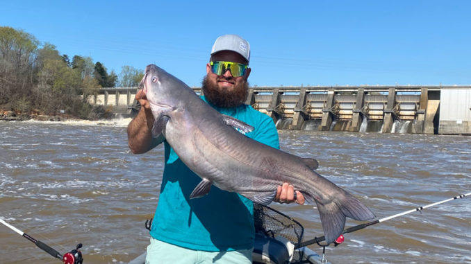 trophy catfish