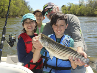 Roanoke River striper
