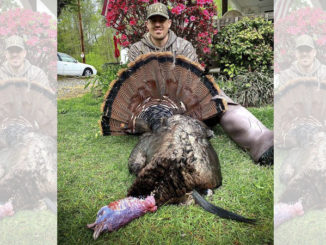 22-pound gobbler