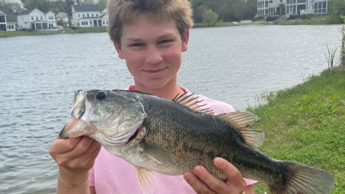 bass
