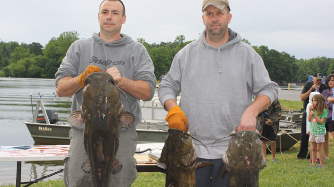 flathead