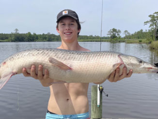 gar