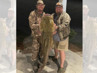 82-pound flathead
