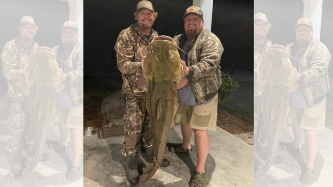 82-pound flathead