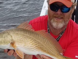 redfish
