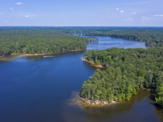 Jordan Lake