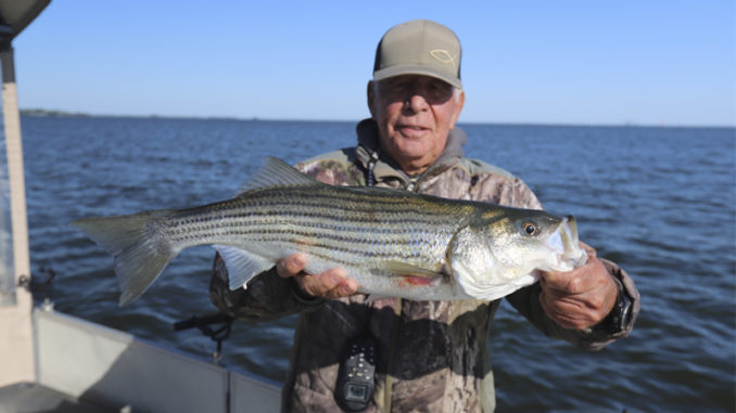 striper