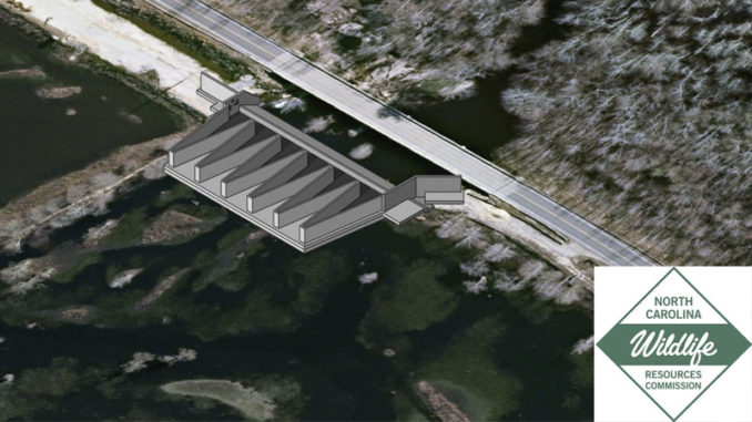 Rhodes Pond Dam