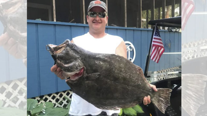 flounder
