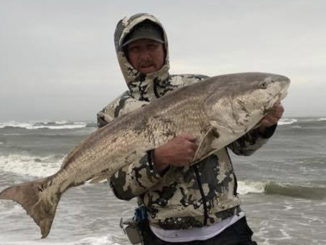 50-inch redfish