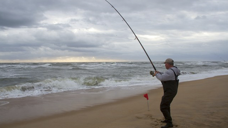 surf angler