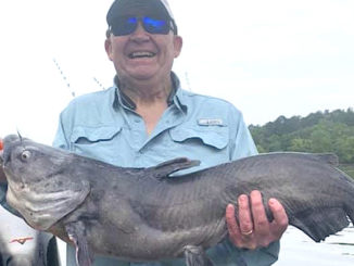 catfish