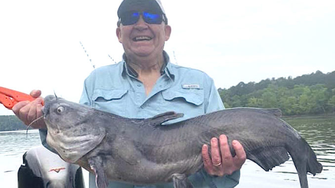 catfish