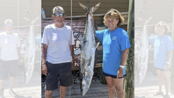 king mackerel