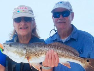 redfish