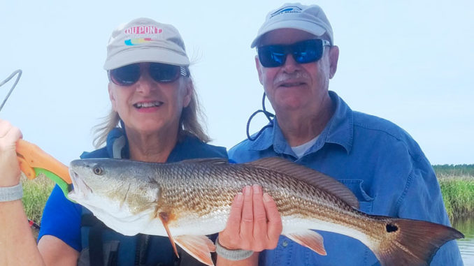 redfish