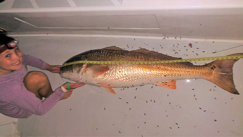 redfish