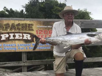 king mackerel