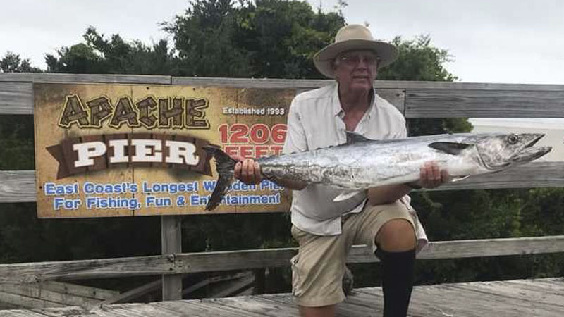 king mackerel