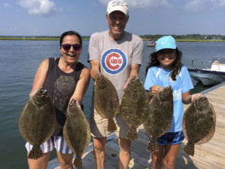 flounder