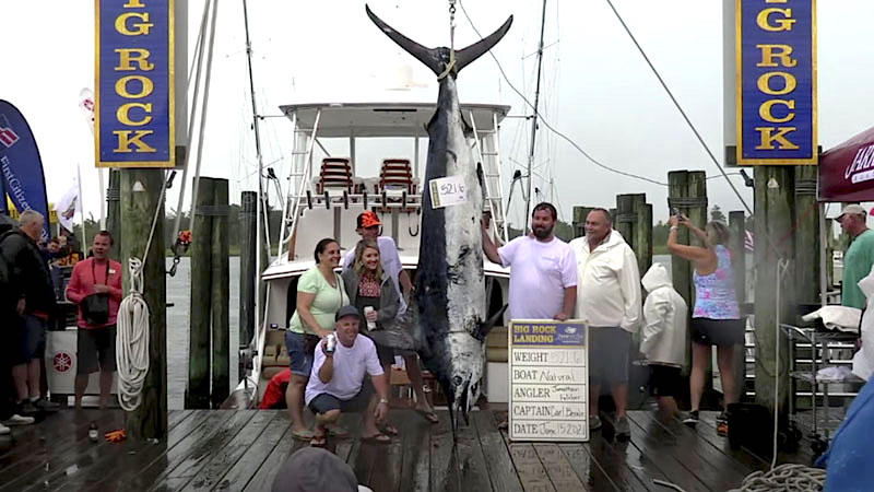 Big Rock Blue Marlin Tournament