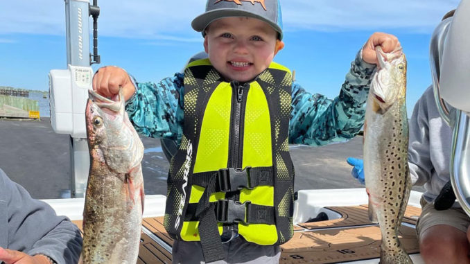 speckled trout