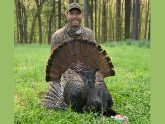 turkey