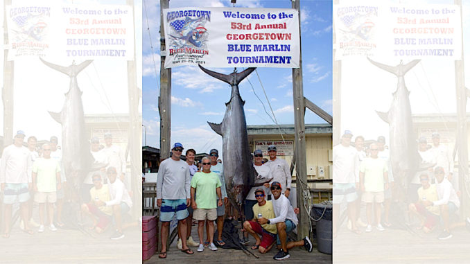blue marlin