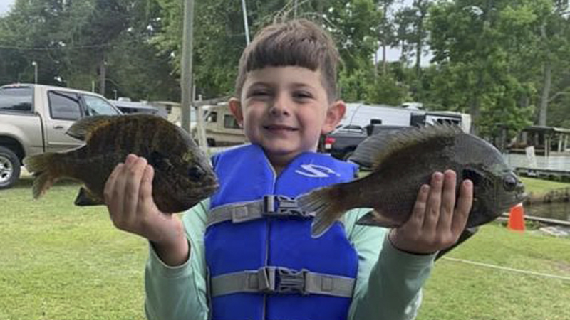 bream