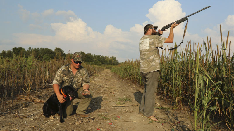 Sunday hunting