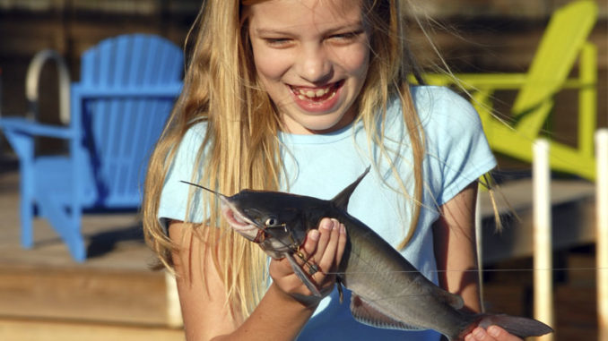 catfish