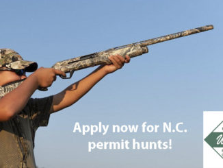 permit hunts