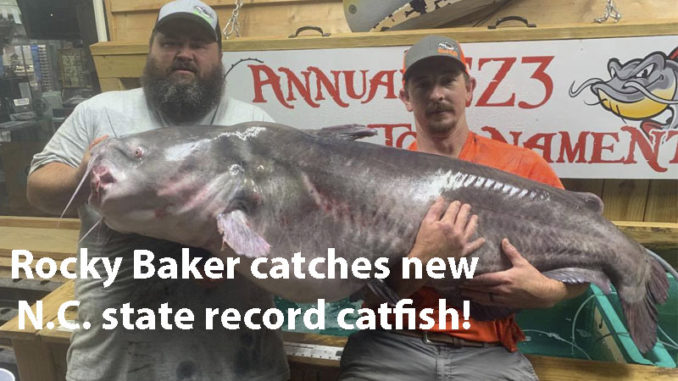 catfish